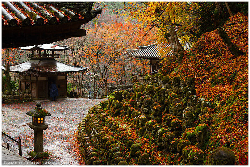 Fallen leaves over rows of jizo statues on a rainy autumn day in Otagi Nenbutsu-ji temple, Kyoto, Japan