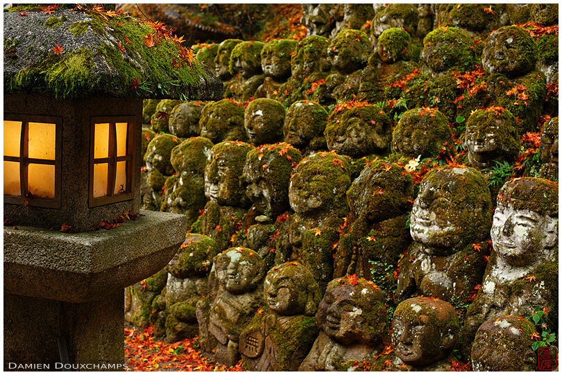 Stone lantern watching over a group of jizo statues covered with moss and fallen autumn leaves, Otagi Nenbutsu-ji temple, Kyoto, Japan