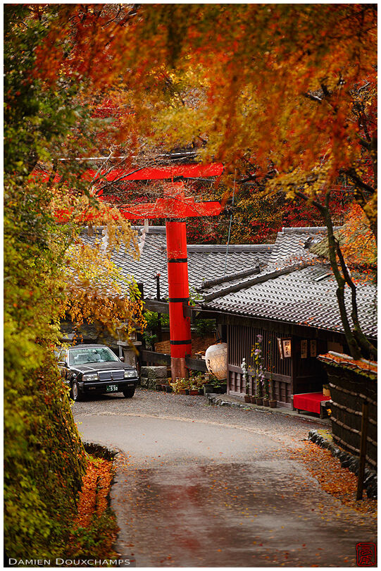 Taxi passing under large red torii gate surrounded by autumn colours, Arashiyama, Kyoto, Japan