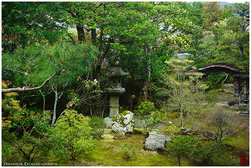 Busy Japanese garden in Shunko-in temple, Kyoto, Japan