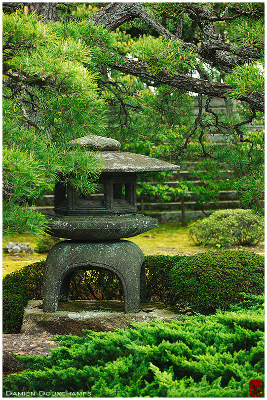 Stone lantern in Nijō-jō castle gardens, Kyoto, Japan