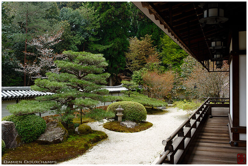 Dry landscape garden in Saihō-ji temple, Kyoto, Japan