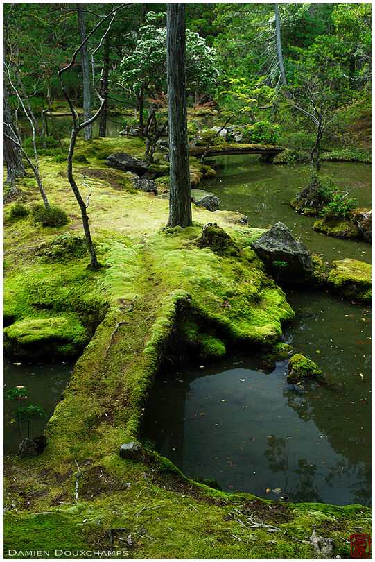 Moss-covered bridge in the garden of Saiho-ji temple, a UNESCO World Heritage site of Kyoto, Japan