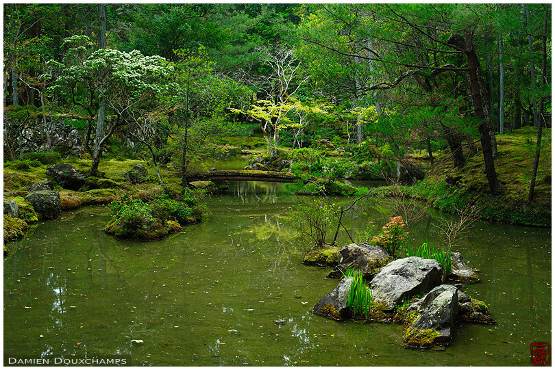Pond in the moss garden of Saiho-ji temple, a UNESCO World Heritage site of Kyoto, Japan