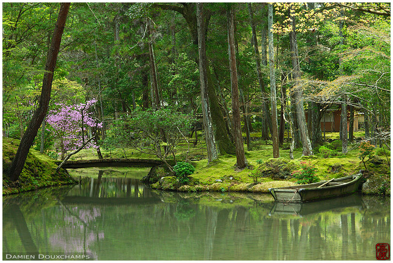 Pond with rowboat in the moss garden of Saiho-ji temple, a UNESCO World Heritage site of Kyoto, Japan