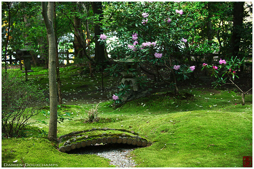 Ornamental moss-covered bridge in the small garden of Nonomiya-jinja, Kyoto, Japan