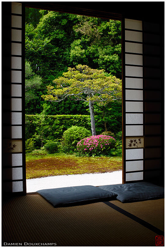 Blooming azalea and cute shoji partitions in Funda-in temple, Kyoto, Japan