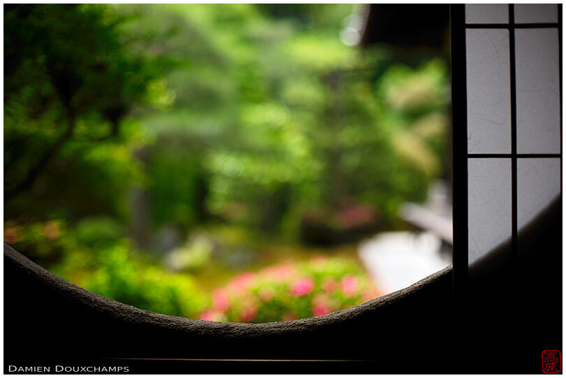 Azalea colours peeking over tea room window round ledge, Funda-in temple, Kyoto, Japan