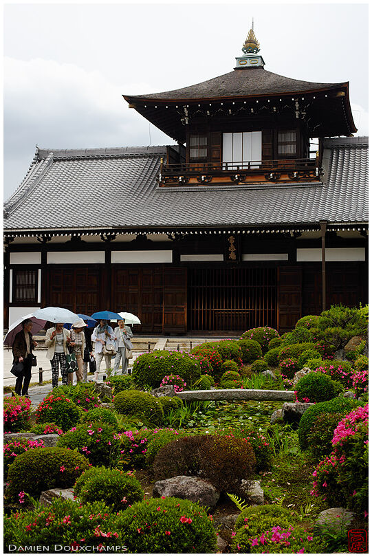 Visitors enjoying the azalea blooming season on a rainy day in the Kaizan-do of Tofukuji temple, Kyoto, Japan