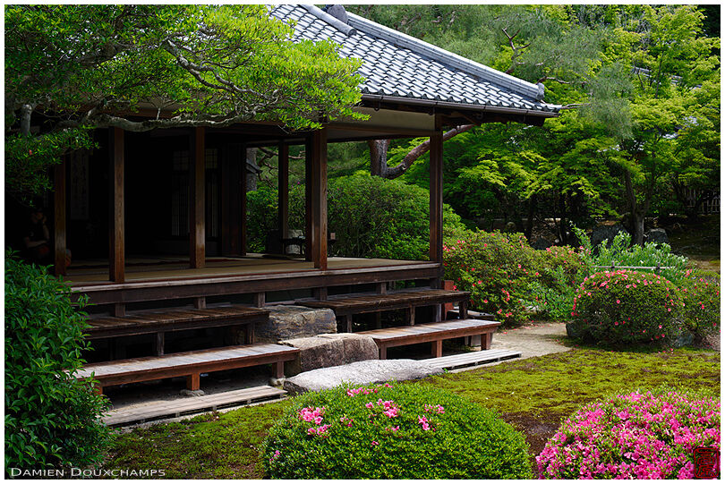 Lush green garden with pink azalea accents around Shoren-in temple, Kyoto, Japan