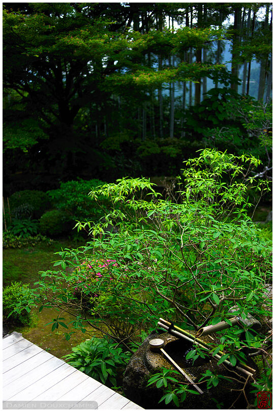 Tsukubai water basin, Hosen-in temple, Kyoto, Japan