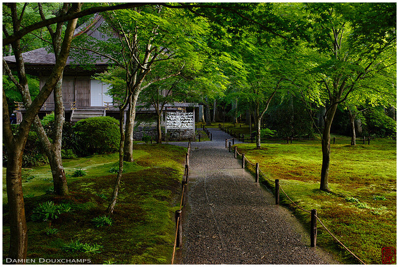 Moss garden in Sanzen-in temple, Ohara valley, Kyoto