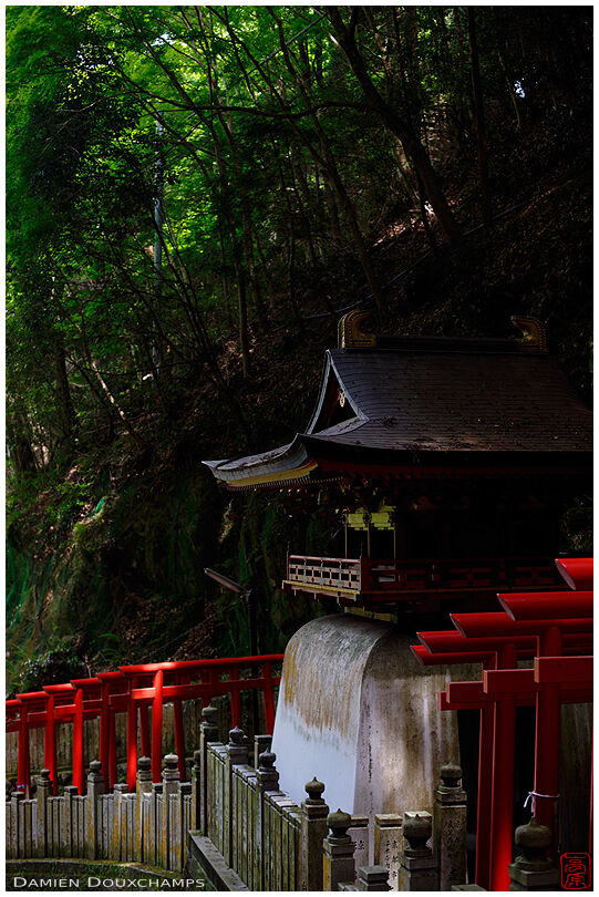 Dark gate and red torii on the steep path climbing towards Tanukidani temple in Kyoto, Japan