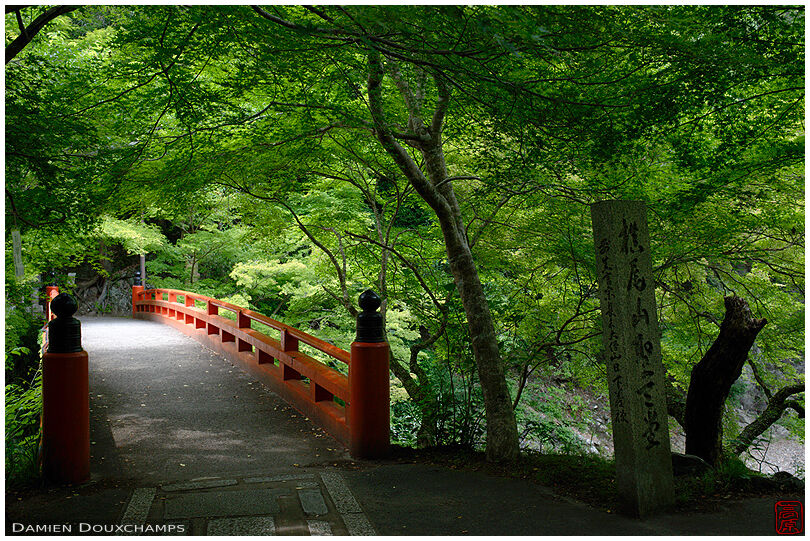 Orange bridge lost in green spring vegetation, Saimyo-ji temple, Kyoto, Japan