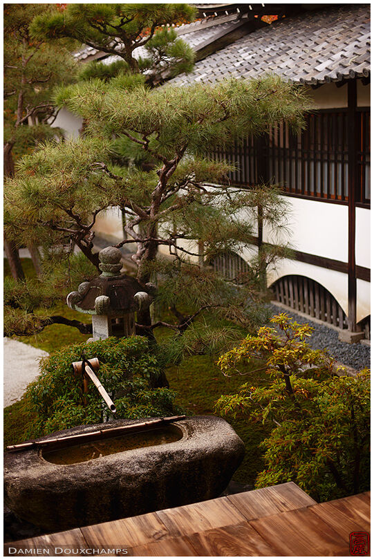 Tsukubai water basin in Myoken-ji temple, Kyoto, Japan