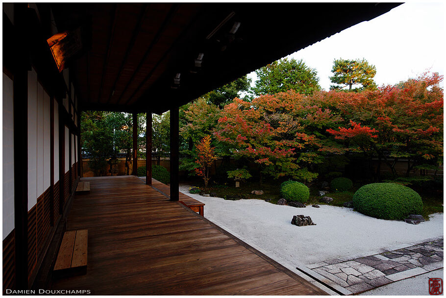 Last autumn light in Myoken-ji hojo garden, Kyoto, Japan