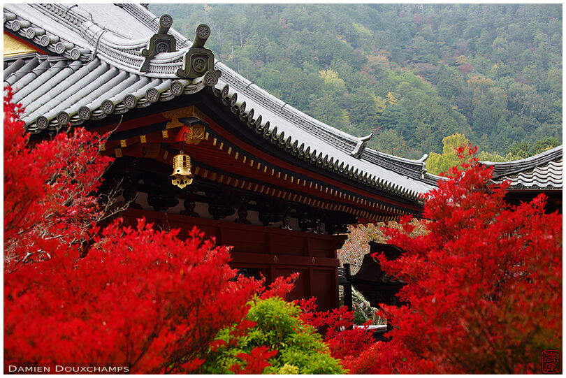 Bright red autumn colours and golden bell around the main hall of Bishamon-do temple, Kyoto, Japan