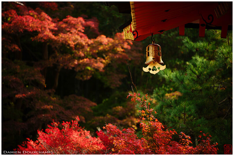 Gold bell hanging from temple roof with autumn colours, Bishamon-do temple, Kyoto, Japan
