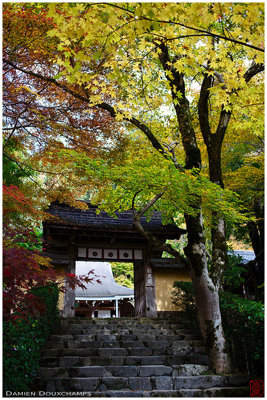 Jakko-in temple gate in early autumn, Ohara valley, Kyoto, Japan