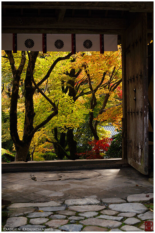 Autumn at the gate of Jakko-in temple, Kyoto, Japan