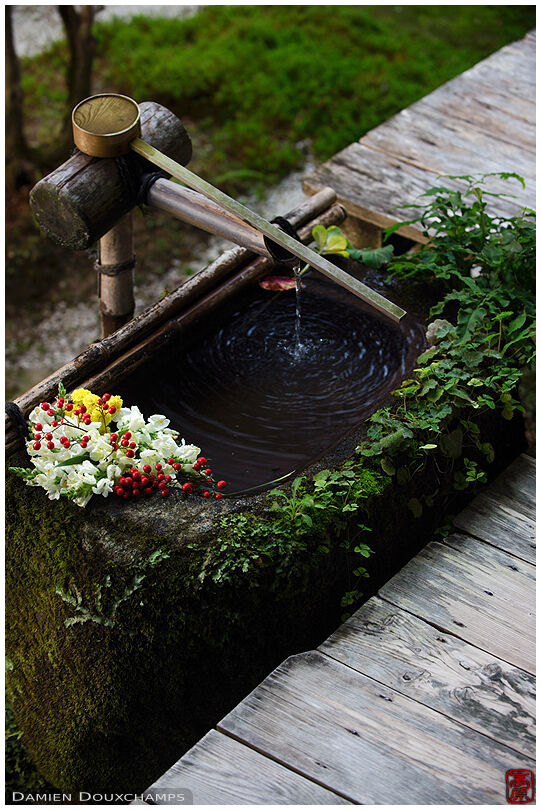 Ladle resting on tsukubai water basin with seasonal flower decorations, Hosen-in temple, Kyoto, Japan