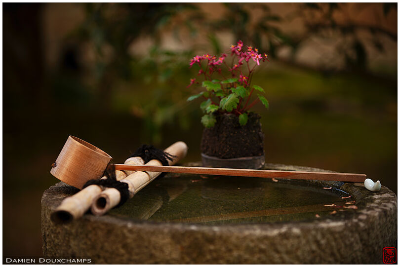 Tsukubai water basin with its ladle and a little floral decoration, Tenkyu-in temple, Kyoto, Japan