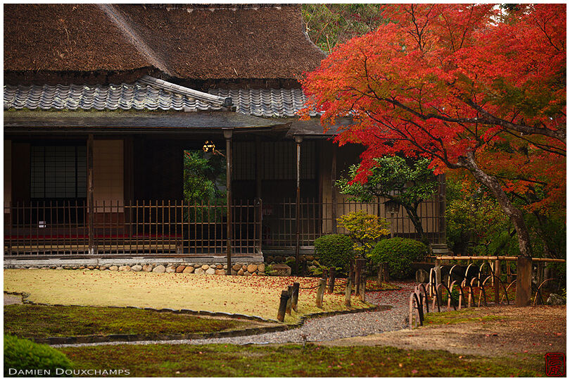 Red autumn foliage near the tea house of Yoshiki-en garden, Nara, Japan