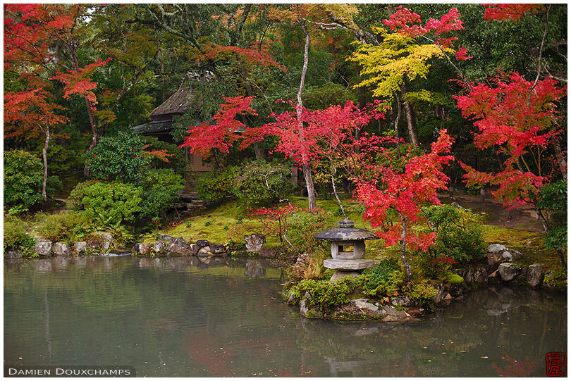 Stone lantern in the middle of a pond surrounded by autumn colours in Isui-en garden, Nara, Japan