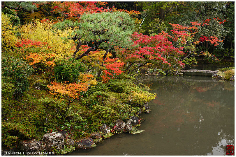 Stone bridge and autumn colors in Isui-en garden, Nara, Japan