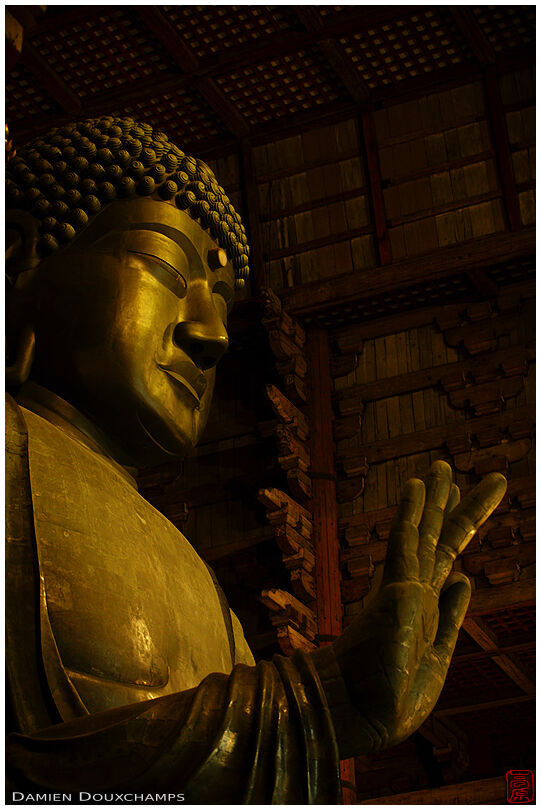 Golden light on the large Buddha statue of Todai-ji temple, Nara, Japan