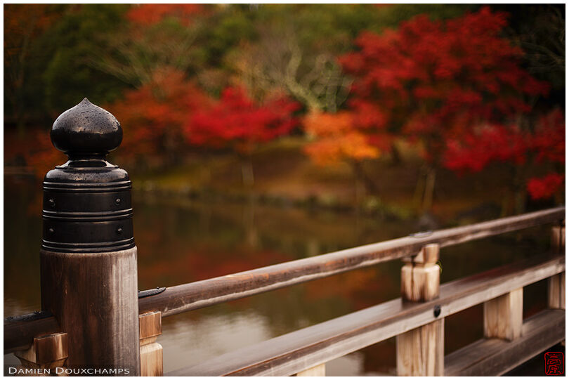 Giboshi bridge pillar with autumn colours, Nara Park, Japan