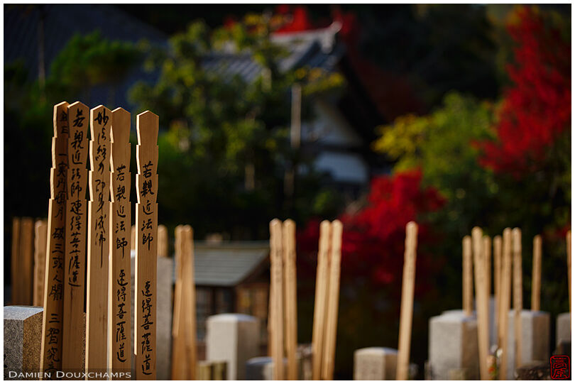 Wooden gorinto plaques in the cemetery of Josho-ji temple, Kyoto, Japan