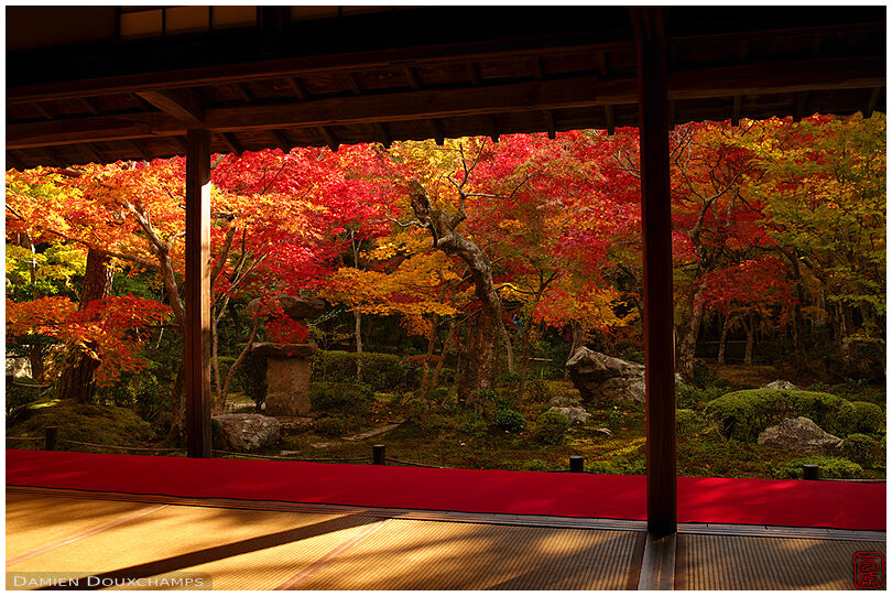 Sunny autumn evening in the colorful garden of Enko-ji temple, Kyoto, Japan