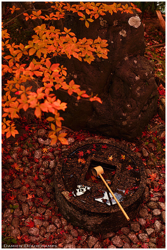 Small tsukubai water basin amidst autumn colours, Konpuku-ji temple, Kyoto, Japan