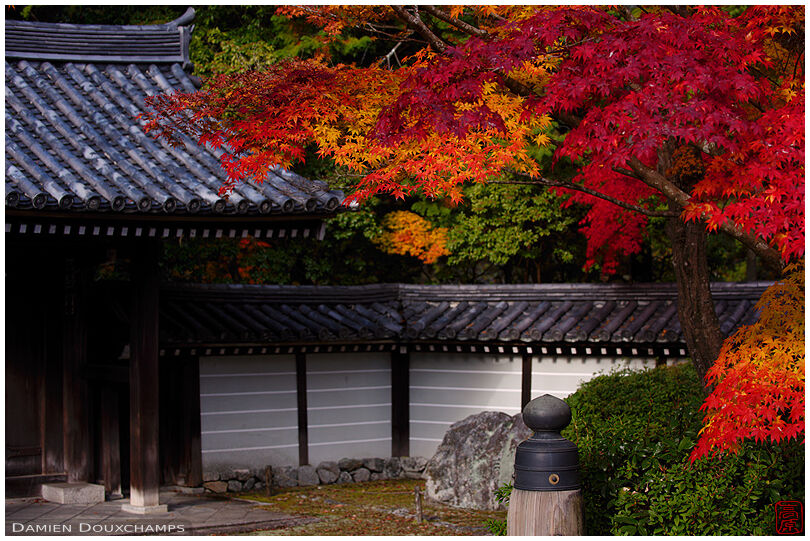 Autumn colours at the back entrance gate to Saiho-ji temple, Kyoto, Japan