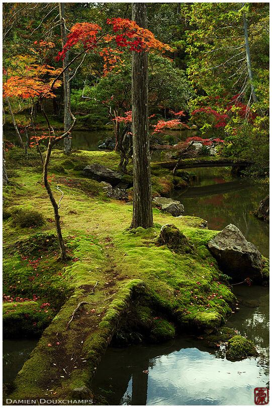 Moss-covered bridge in the garden of Saiho-ji temple, a UNESCO World Heritage site of Kyoto, Japan