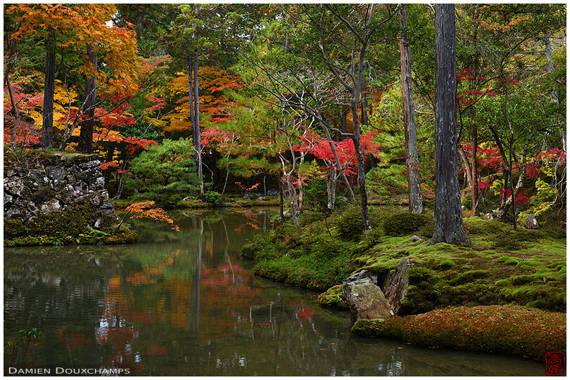 Autumn colours in the moss garden of Saiho-ji temple, a UNESCO World Heritage site of Kyoto, Japan