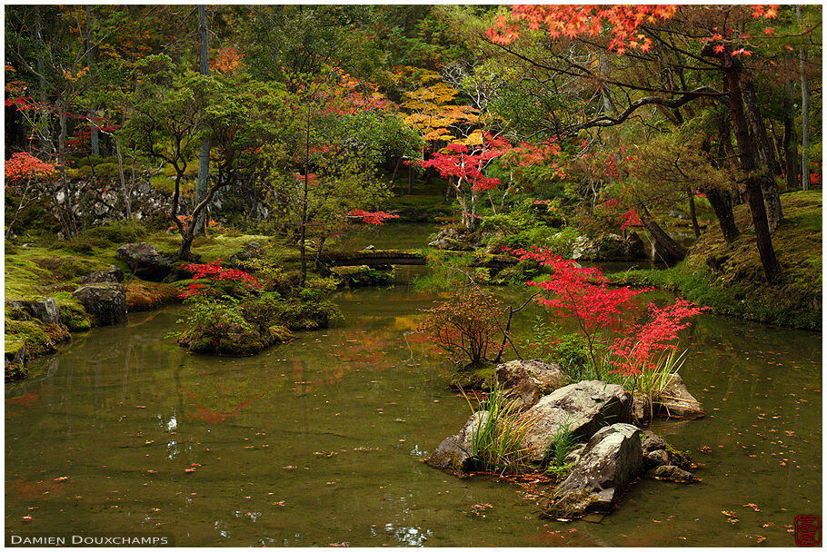 Autumn colours in the moss garden of Saiho-ji temple, a UNESCO World ...