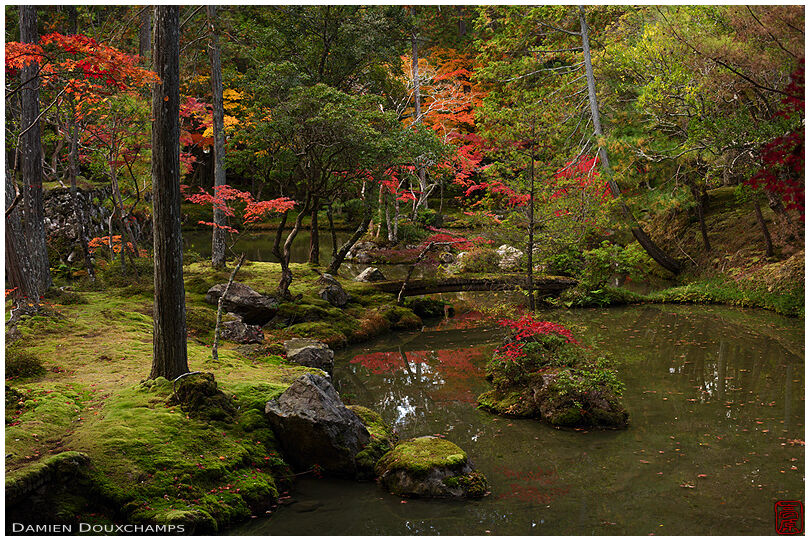 Autumn colours in the moss garden of Saiho-ji temple, a UNESCO World ...