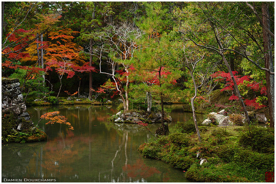 Autumn colours in the moss garden of Saiho-ji temple, a UNESCO World ...