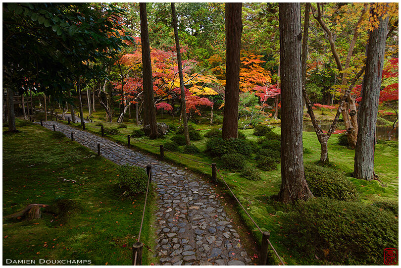 Autumn colours in the moss garden of Saiho-ji temple, a UNESCO World Heritage site of Kyoto, Japan