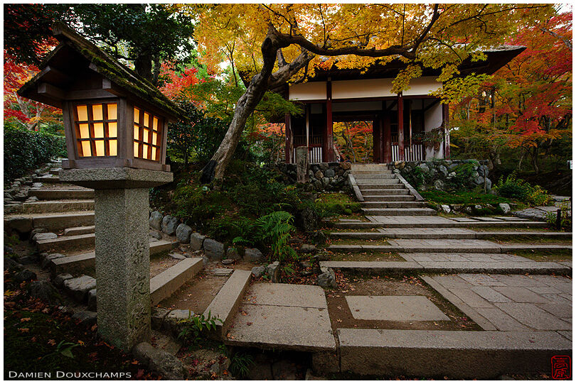 Lantern at the main gate of Jojakko-ji temple in autumn, Kyoto, Japan