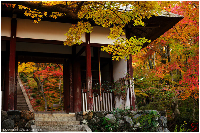 Autumn colors around the entrance gate of Jojakko-ji temple, Kyoto, Japan