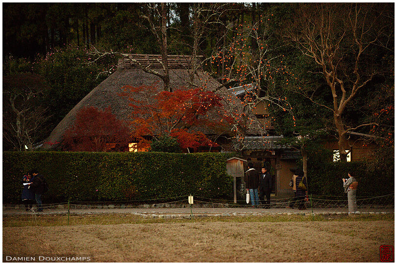 Persimmon tree and autumn colours around the thatched roofed Rakushisha hermitage in Kyoto, Japan