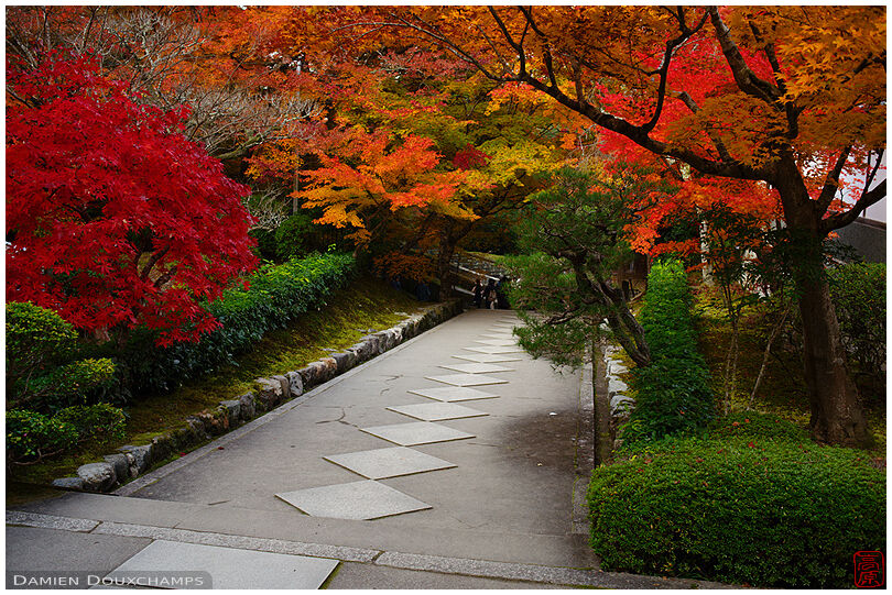 Autumn colors over the entrance path to Saisho-in temple, Kyoto, Japan