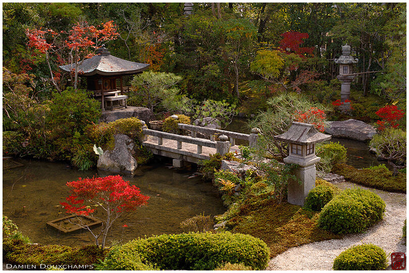 Touches of autumn colors around the pond of Nanyo-in temple garden, Kyoto, Japan