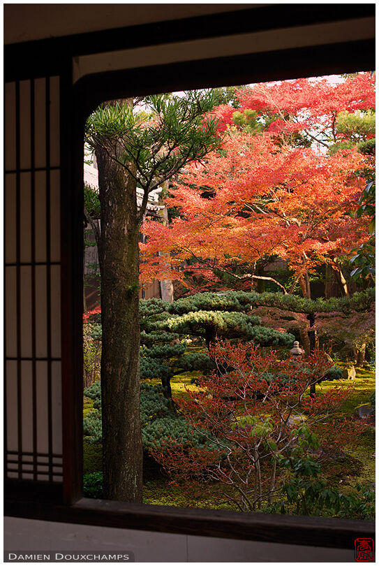Window with view on autumn colours, Seirai-in temple, Kyoto, Japan
