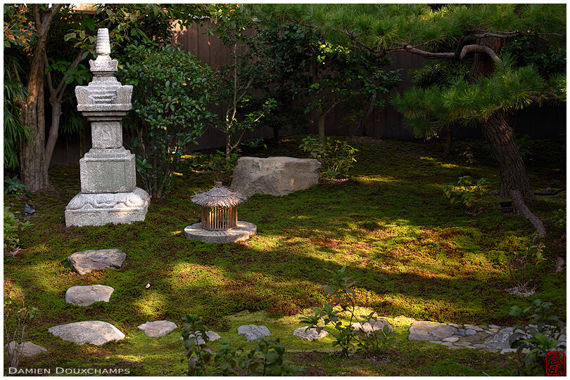 Stepping stones leading to tombstone in the moss garden of Reigen-in temple, Kyoto, Japan