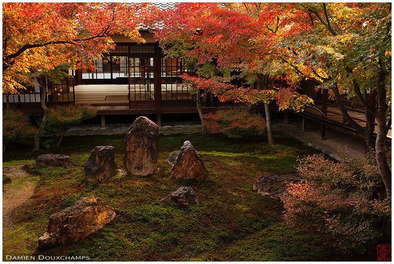 Bright autumn colors over the inner moss garden of Kennin-ji temple, Kyoto, Japan