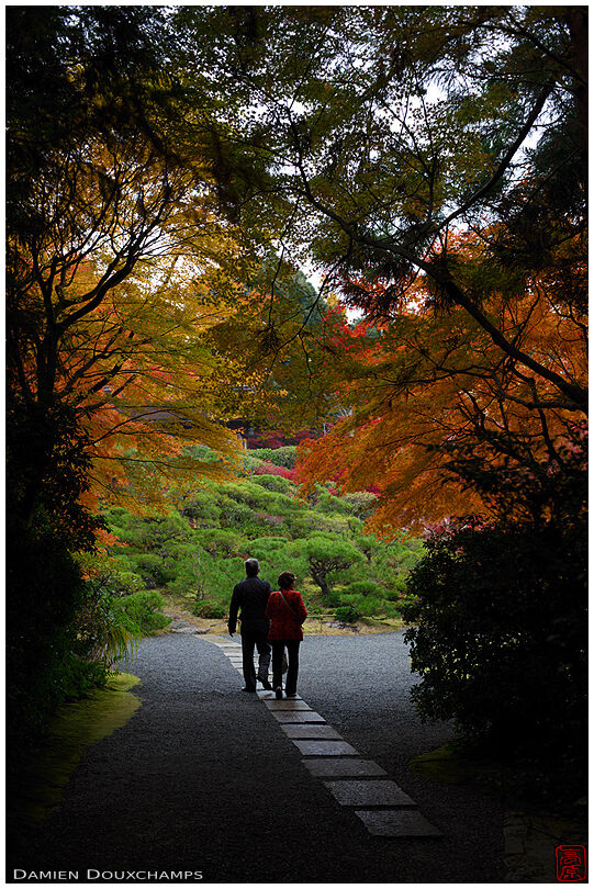 Couple exploring the gardens of the Okochi sanso villa in autumn, Kyoto, Japan